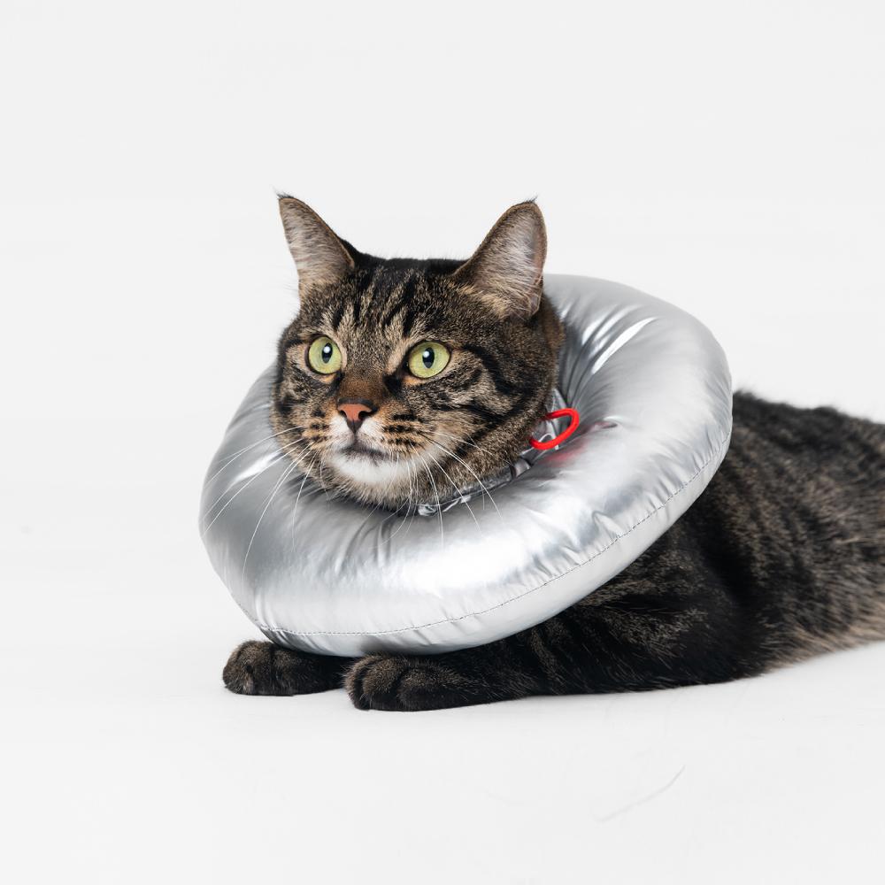 Pidan Space E-Collar For Cats & Dogs