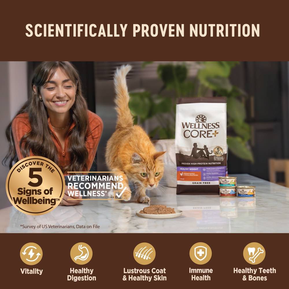 Wellness Core+ Digestive Health Pate Turkey Pate Grain-Free Canned Cat Food 85g