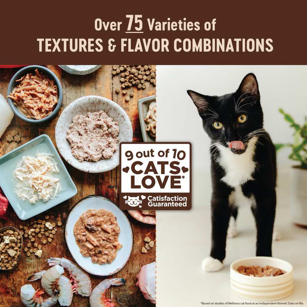 Wellness Core+ Digestive Health Chicken Pate Grain-Free Canned Cat Food 85g